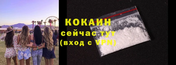гидра Кодинск