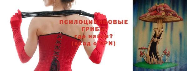 ГАЛЛЮЦИНОГЕННЫЕ ГРИБЫ Коряжма