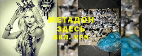 гидра Кодинск