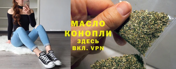 гидра Кодинск