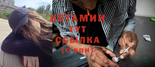 гидра Кодинск