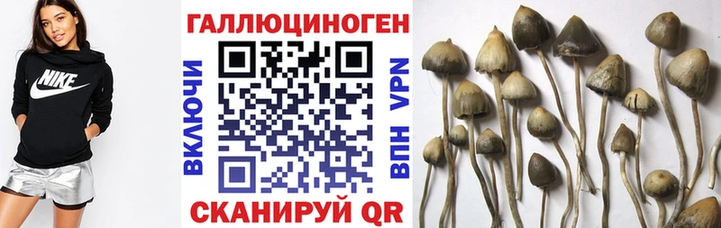 цена   Лахденпохья  Галлюциногенные грибы мицелий 